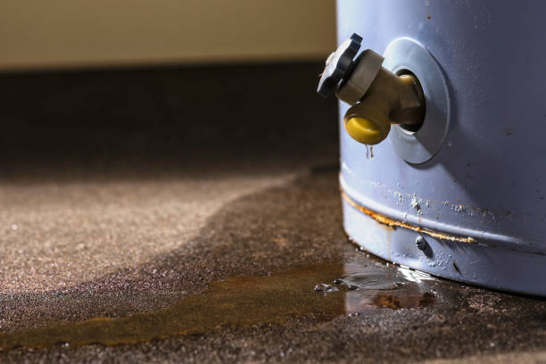 Best Residential water damage restoration  in Baltic, CT