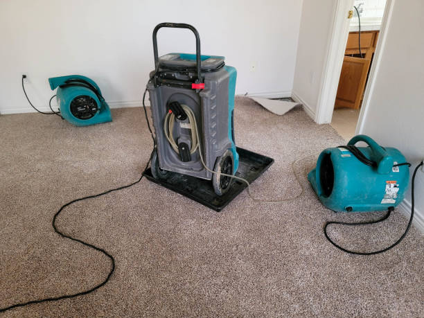 Best Professional water damage repair  in Baltic, CT