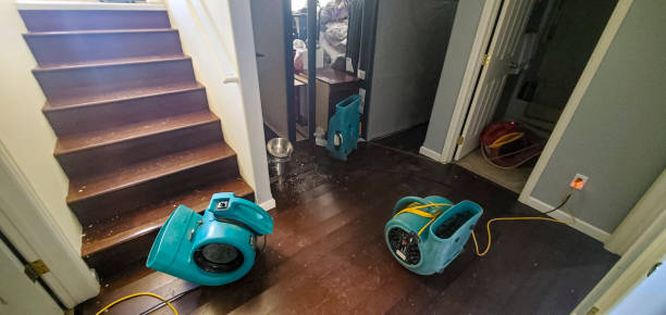Best Water damage restoration experts  in Baltic, CT