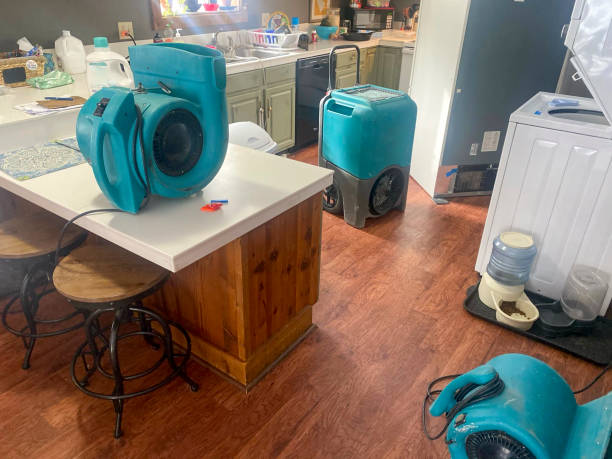 Best Basement water damage restoration  in Baltic, CT
