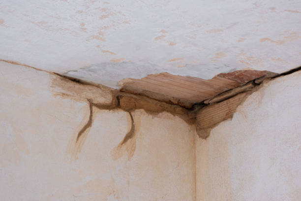 Best Emergency water damage restoration  in Baltic, CT