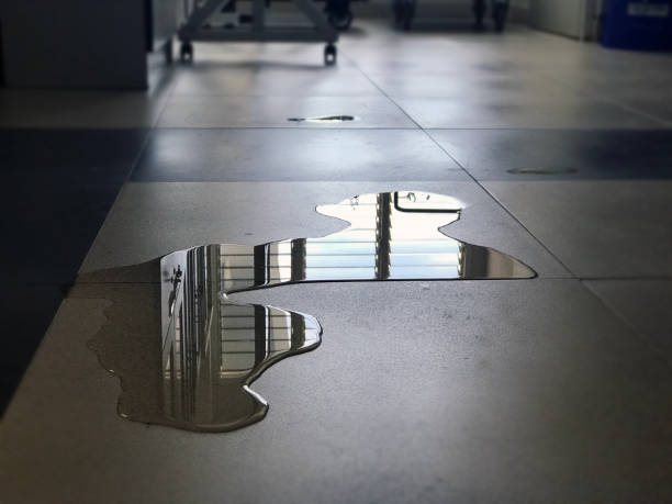 Best Water damage restoration near me  in Baltic, CT