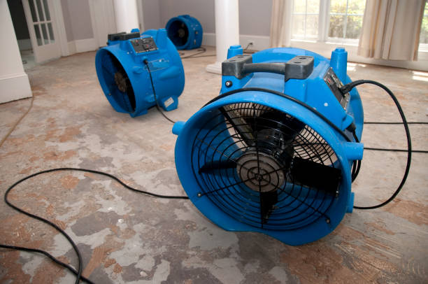 Best 24-hour water damage restoration  in Baltic, CT