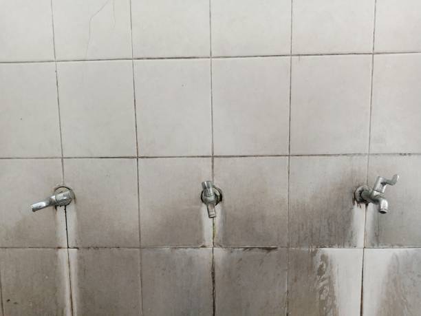 Best Water damage restoration near me  in Baltic, CT