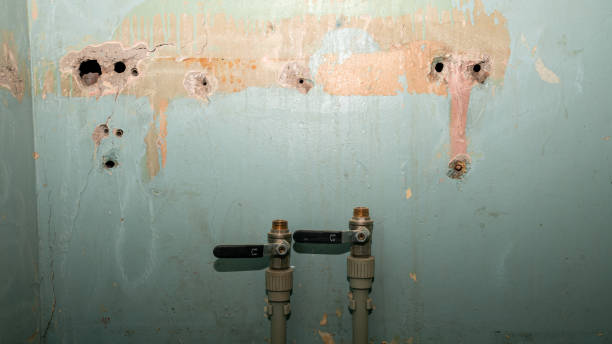 Best Mold removal after water damage  in Baltic, CT