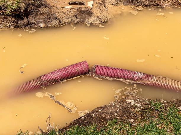 Best Water damage restoration cost  in Baltic, CT